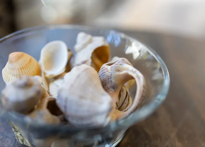 Center Apartment, Walk To & Sea Garden Apartamento *