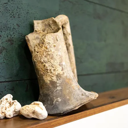 Center Apartment, Walk To & Sea Garden Апартамент Варна