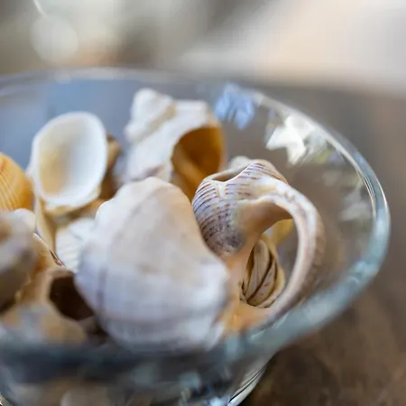 Center Apartment, Walk To & Sea Garden Апартамент *